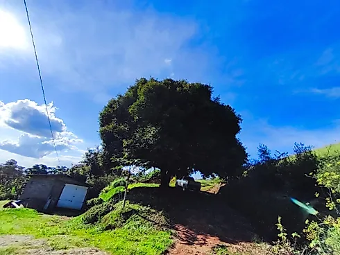 Sítio à Venda em Munhoz/MG - Foto 7