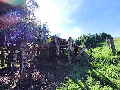 Sítio à Venda em Munhoz/MG - Foto 8