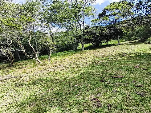Sítio em Extrema/MG com Piscina, Lago e Excelente Estrutura - Foto 16