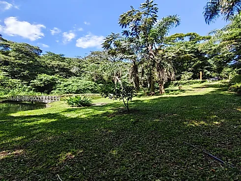 Sítio em Extrema/MG com Piscina, Lago e Excelente Estrutura - Foto 35