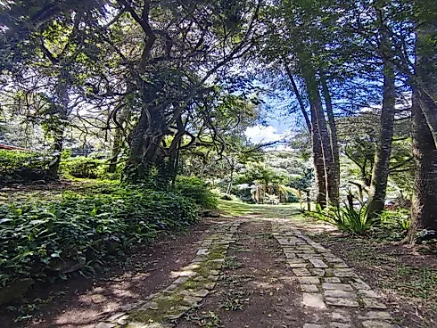 Sítio em Extrema/MG com Piscina, Lago e Excelente Estrutura - Foto 39