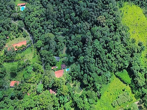 Sítio em Extrema/MG com Piscina, Lago e Excelente Estrutura - Foto 40