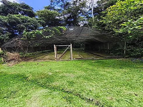 Sítio em Extrema/MG com Piscina, Lago e Excelente Estrutura - Foto 6