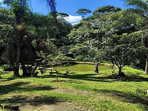 Sítio em Extrema/MG com Piscina, Lago e Excelente Estrutura - Foto 9