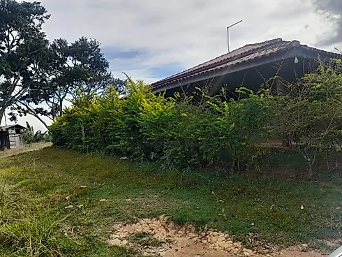 Sítio Serra Negra/Amparo com 14 Alqueires e Vista Panorâmica - Foto 17