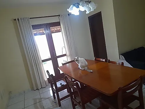 Sítio Serra Negra/Amparo com 14 Alqueires e Vista Panorâmica - Foto 19