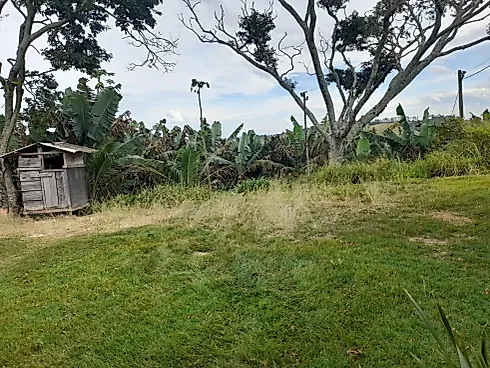 Sítio Serra Negra/Amparo com 14 Alqueires e Vista Panorâmica - Foto 37