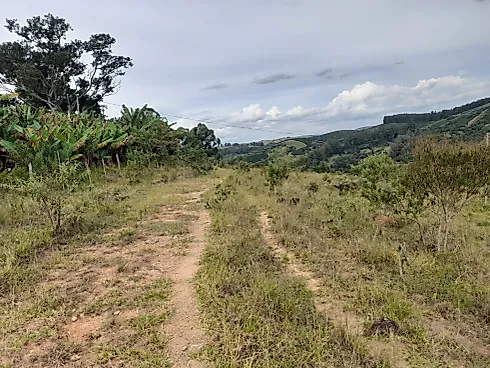 Sítio Serra Negra/Amparo com 14 Alqueires e Vista Panorâmica - Foto 42
