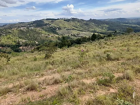 Sítio Serra Negra/Amparo com 14 Alqueires e Vista Panorâmica - Foto 45