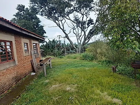 Sítio Serra Negra/Amparo com 14 Alqueires e Vista Panorâmica - Foto 48