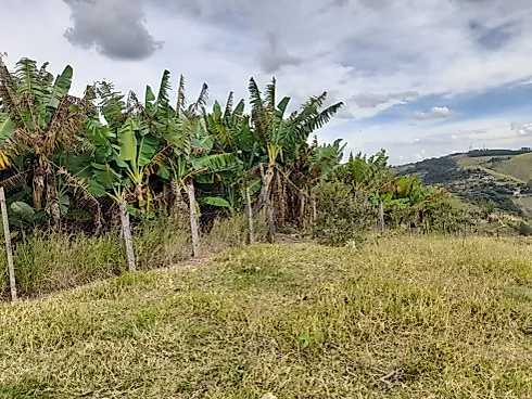 Sítio Serra Negra/Amparo com 14 Alqueires e Vista Panorâmica - Foto 53