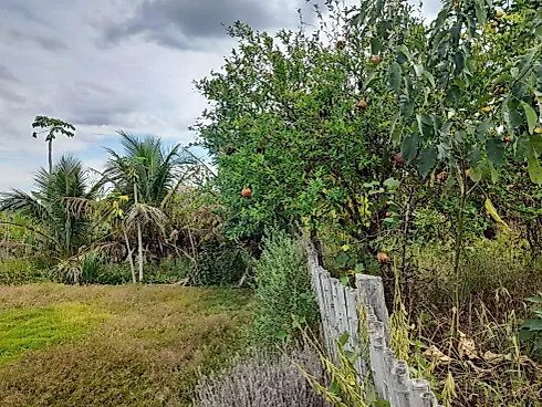 Sítio Serra Negra/Amparo com 14 Alqueires e Vista Panorâmica - Foto 54