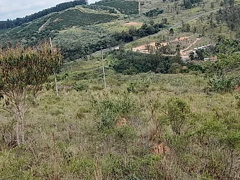 Sítio Serra Negra/Amparo com 14 Alqueires e Vista Panorâmica - Foto 55