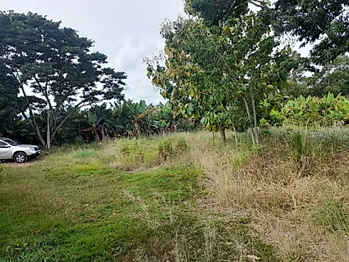 Sítio Serra Negra/Amparo com 14 Alqueires e Vista Panorâmica - Foto 56
