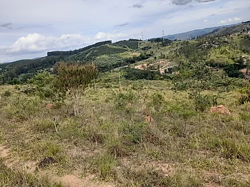 Sítio Serra Negra/Amparo com 14 Alqueires e Vista Panorâmica - Foto 58