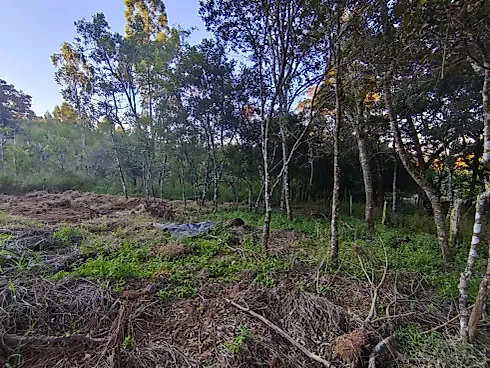 Chácara à Venda em Munhoz – Loteamento Santo Expedito - Foto 10