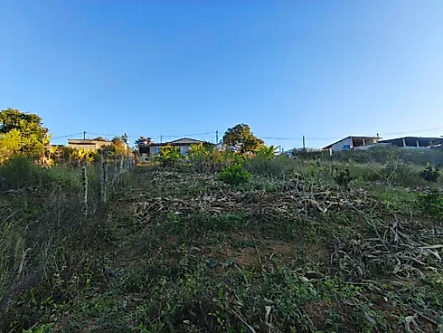 Casa em Centro, Munhoz