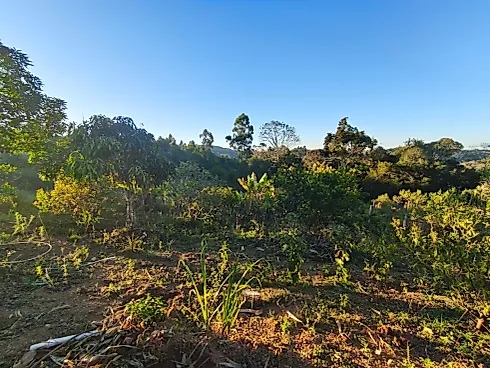 Chácara à Venda em Munhoz – Loteamento Santo Expedito - Foto 30