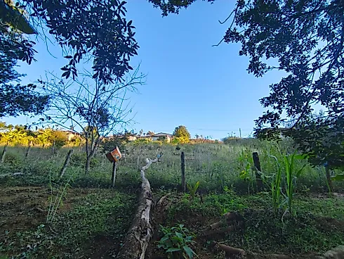 Chácara à Venda em Munhoz – Loteamento Santo Expedito - Foto 7