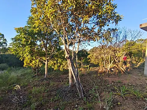 Chácara à Venda em Munhoz – Loteamento Santo Expedito - Foto 8