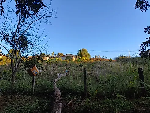 Chácara à Venda em Munhoz – Loteamento Santo Expedito - Foto 9