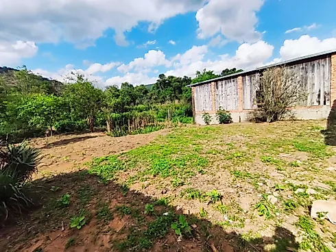 Chácara à Venda – Bairro dos Pereiras – Toledo/MG - Foto 17