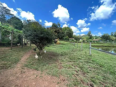 Chácara à Venda em Socorro (SP) – 4.000 m² | R$ 580.000,00 - Foto 12