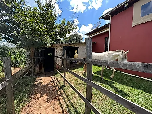 Chácara à Venda em Socorro (SP) – 4.000 m² | R$ 580.000,00 - Foto 16