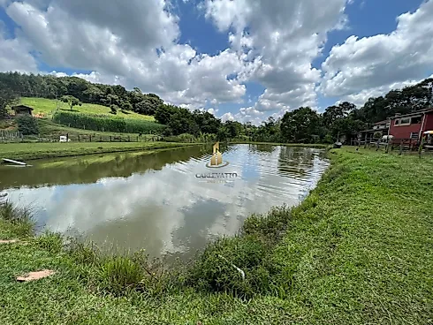 Chácara à Venda em Socorro (SP) – 4.000 m² | R$ 580.000,00 - Foto 18