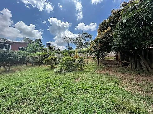Chácara à Venda em Socorro (SP) – 4.000 m² | R$ 580.000,00 - Foto 21