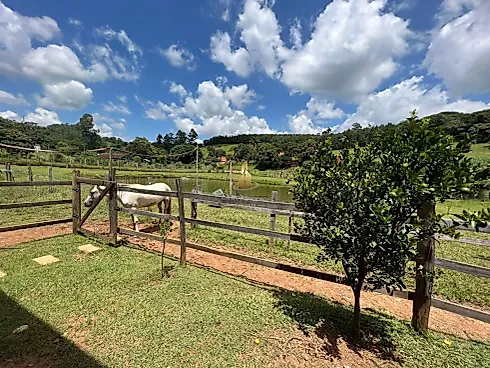 Chácara à Venda em Socorro (SP) – 4.000 m² | R$ 580.000,00 - Foto 7