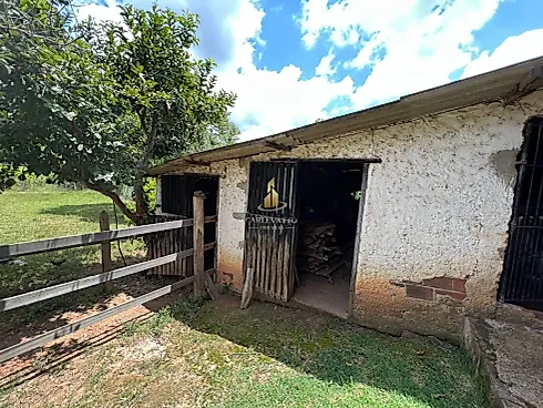 Chácara à Venda em Socorro (SP) – 4.000 m² | R$ 580.000,00 - Foto 8