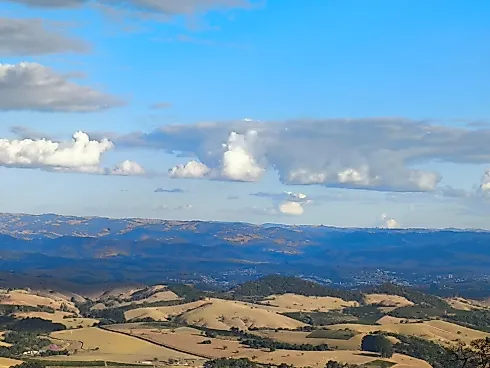Sítio à Venda – Região de Ouro Fino (MG) - Foto 11