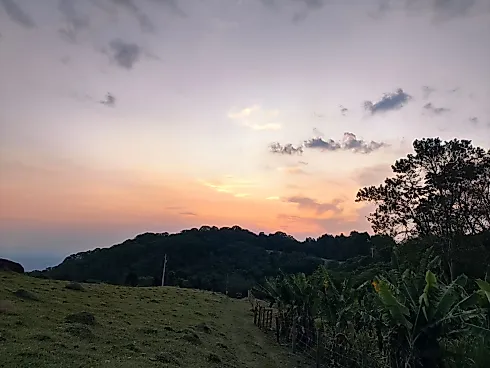Sítio à Venda – Região de Ouro Fino (MG) - Foto 16