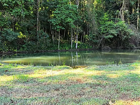 Sítio à Venda – Região de Ouro Fino (MG) - Foto 17