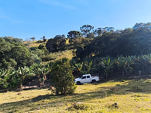 Sítio à Venda – Região de Ouro Fino (MG) - Foto 19