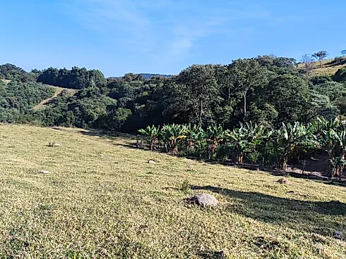 Sítio à Venda – Região de Ouro Fino (MG) - Foto 23