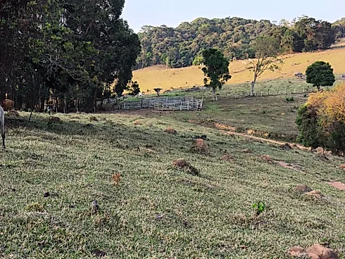 Sítio à Venda – Região de Ouro Fino (MG) - Foto 24