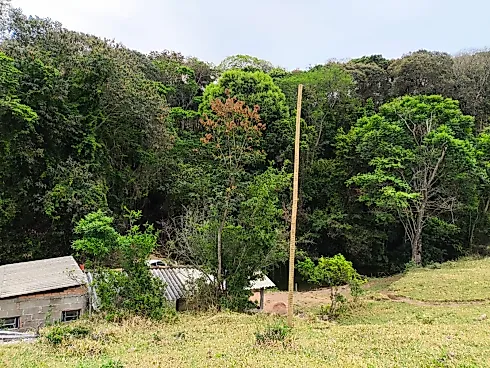 Sítio à Venda – Região de Ouro Fino (MG) - Foto 31