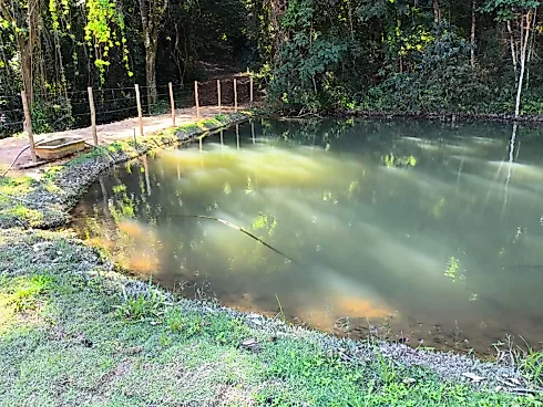 Sítio à Venda – Região de Ouro Fino (MG) - Foto 32