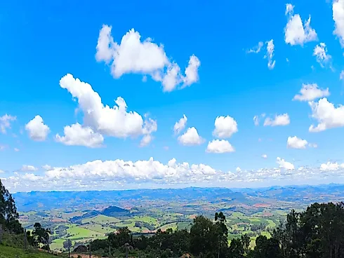 Sítio à Venda – Região de Ouro Fino (MG) - Foto 35