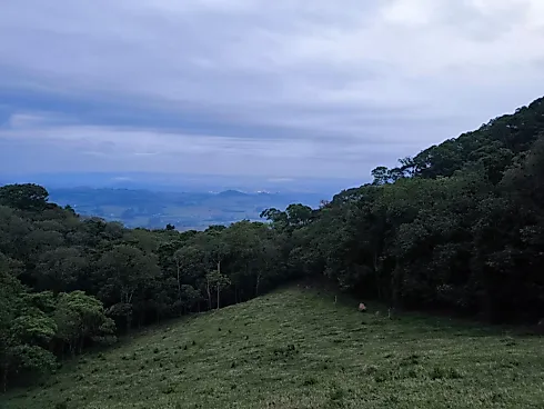 Sítio em Centro, Ouro Fino