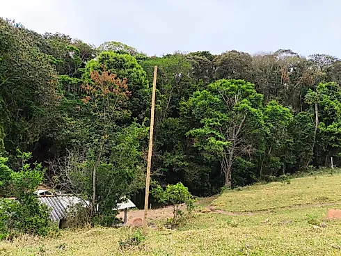 Sítio à Venda – Região de Ouro Fino (MG) - Foto 6