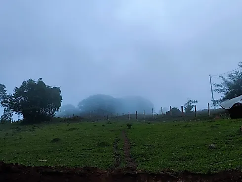 Sítio à Venda – Região de Ouro Fino (MG) - Foto 7