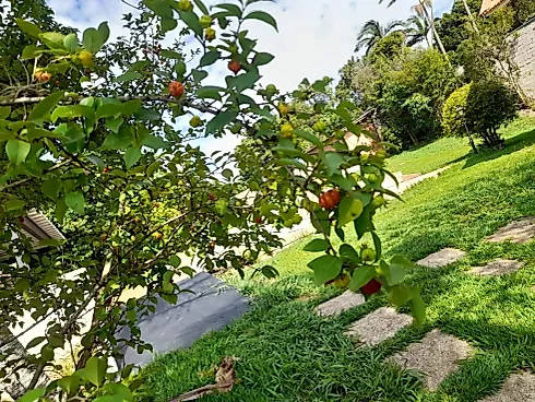 🌿✨ Chácara Exclusiva em Serra Negra | Localização Privilegiada ✨🌿 - Foto 13