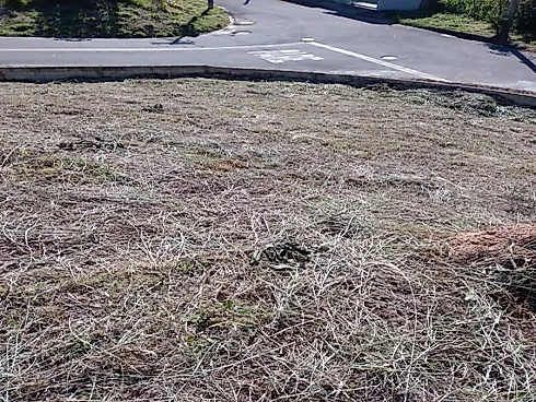 🌳 Terreno de Esquina à Venda no Bairro Meridien – Águas de Lindóia/SP 🌳 - Foto 15