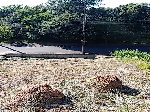 🌳 Terreno de Esquina à Venda no Bairro Meridien – Águas de Lindóia/SP 🌳 - Foto 6