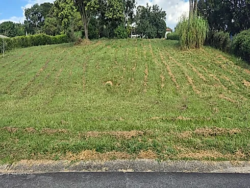 🌿✨ Terreno de Alto Padrão à Venda ✨🌿 - Foto 25