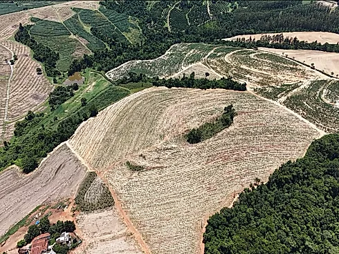 Zona Rural, Cosmópolis