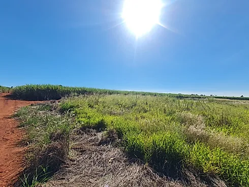 Terreno em Rural, Artur Nogueira
